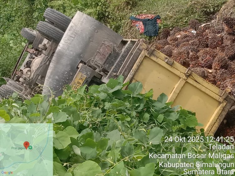Truck Nopol BK 8629LK  muatan sekitar 13 ton Tandan Buah Segar (TBS) sawit mengalami kecelakaan dan terguling ke parit sedalam lima meter pada Jumat (24/10/2025) siang.