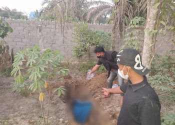 Geger! Mayat Mr. X Ditemukan Terkubur di Kebun Warga Desa Perawang Barat, Dibungkus Terpal