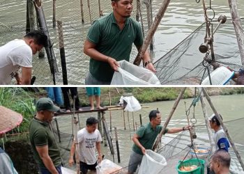 Pangulu Parsaoran Manik: BUMNag Mekar Bahalat Karya Bersama Genjot Ketahanan Pangan dengan Budidaya Ikan Mas