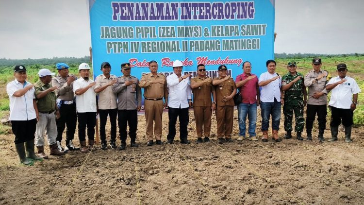 Foto bersama saat kegiatan program penanaman intercropping jagung pipil (Zea Mays) dan kelapa sawit. Kegiatan ini dilaksanakan di areal kerja PDM, Kecamatan Ujung Padang, pada hari Senin (04/11/2025).