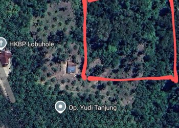 Warisan 15 Hektare Diserobot, Polsek Habinsaran Diduga “Cawe Cawe” dengan Terlapor, Murni Siregar Gandeng PH dari Jakarta Demi Keadilan