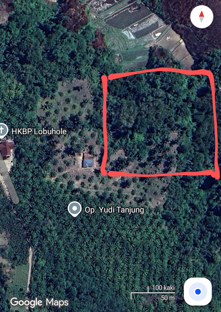 Foto satelit lokasi lahan warisan Murni Siregar yang diduga dikuasai mafia Tanah di Desa Lobuhole, Kecamatan Habinsaran, Kabupaten Toba