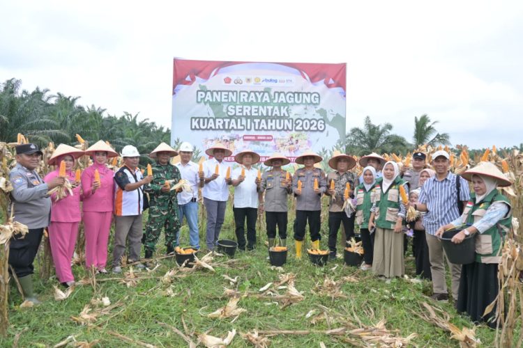 Foto bersama sela sela kegiatan Panen Raya Jagung Serentak Kuartal I Tahun 2026 di lahan pertanian milik PT STA seluas 1 hektar yang berlokasi di Desa Sabungan, Kecamatan Sungai Kanan yang dilaksanakan Polres Labuhanbatu Selatan, Kamis (8/1/2026).