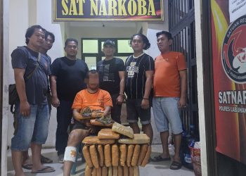 Doorr!!, Bandar Narkoba Ambruk Ditembak Polisi di Labusel, 26 KG Ganja Diamankan