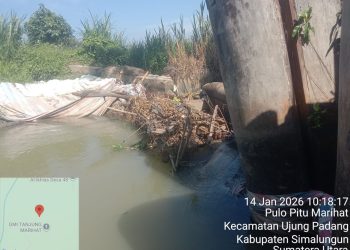 Irigasi Ambruk, 2 Tahun Pemkab Simalungun Tutup Mata, Puluhan Hektare Sawah di Ujung Padang Terbengkalai Terancam Gagal Tanam