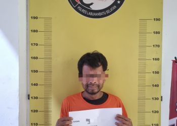 Satresnarkoba Polres Labuhanbatu Selatan Ungkap Kasus Narkotika di Desa Rasau