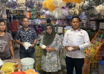 Jelang Ramadan, Polres Labuhanbatu Selatan Cek Harga Sembako di Pasar Kotapinang