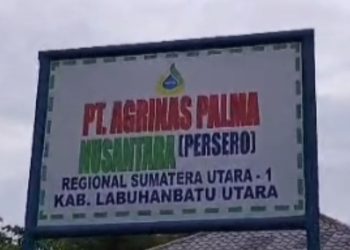 PT Agrinas Palma Nusantara Diduga Panen Sawit Puluhan Ton dari Lahan Sitaan Negara 