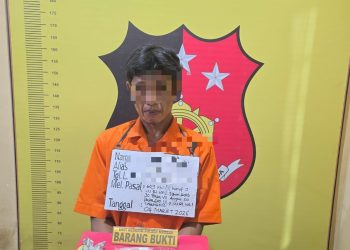 Informasi Warga Berbuah Hasil, Polisi Ungkap Kasus Sabu di Marbau Kabupaten Labura, Ternyata Pelaku Warga Simalungun 