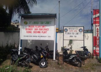 PT Lingga Tiga Sawit Diduga Langgar Aturan PKWT dan UU Cipta Kerja, Manajemen Bungkam Dikonfirmasi 