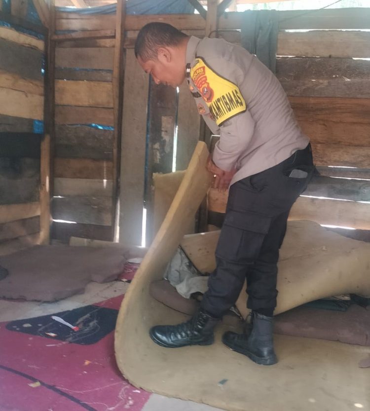 Petugas sedang melakukan dan pembongkaran pondok (gubuk) yang diduga menjadi tempat aktivitas penyalahgunaan narkoba.
