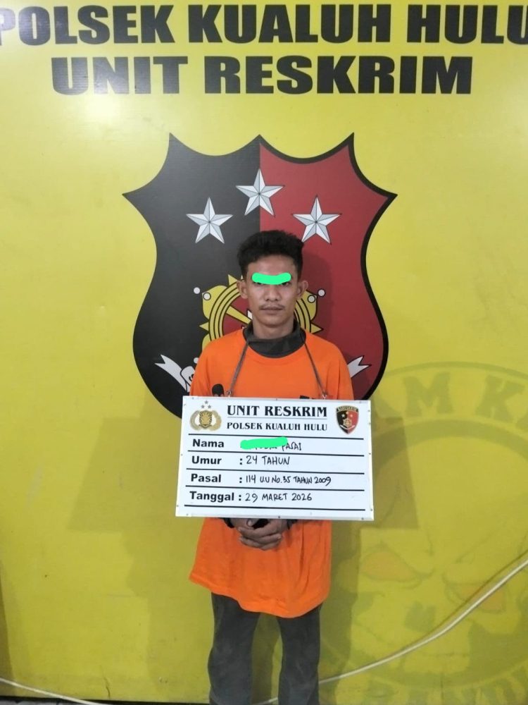 Terduga pemilik Narkoba inisial AP alias Pebri (24), warga Dusun II Desa Damuli Pekan, Kecamatan Kualuh Selatan,saat diamankan petugas Senin (30/03/2026).