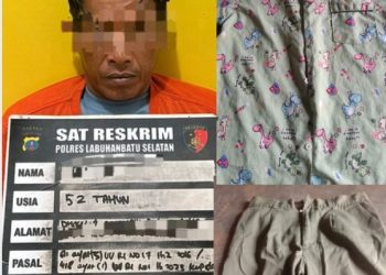 Cerita Pilu dari Labusel, Lampiaskan Nafsu Berulangkali pada Anak Kandung, Seorang Petani Ditangkap Polisi    