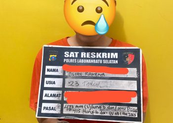 Berawal Ajakan Keliling Kota Pinang Lalu Setubuhi Korban Anak Dibawah Umur, Polres Labusel Ciduk Pelaku Dari Hotel Istana IX