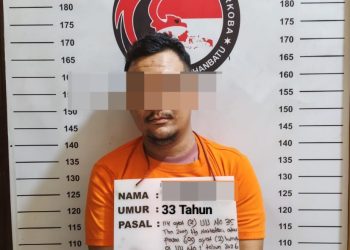 Satres Narkoba Polres Labuhanbatu Ungkap Kasus Peredaran Pil Ekstasi, Satu Pelaku Diamankan