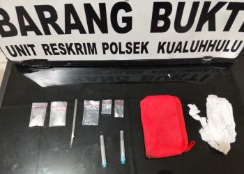 Polsek Kualuh Hulu Polres Labuhanbatu Berhasil Ungkap Kasus Narkotika di Desa Londut 