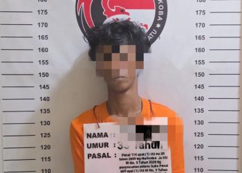 Kasus Narkotika di Bilah Barat Terungkap, Polres Labuhanbatu Amankan Eko Pemilik 3,72 Gram Sabu