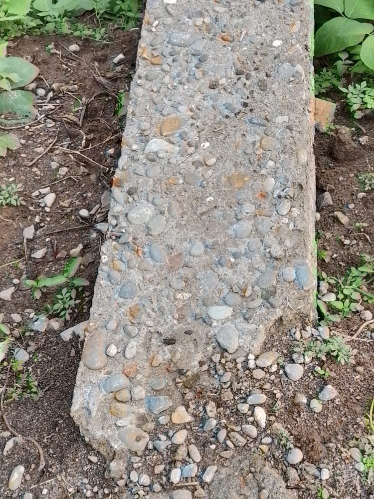 Salah satu titi beton yang kondisinya sudah memprihatinkan di Kebun Tinjowan.
