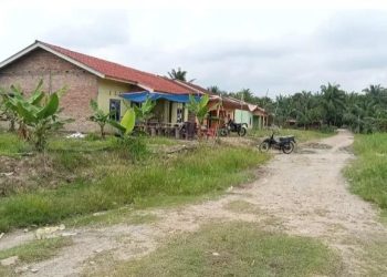Peredaran Narkoba Menggila di Sidomulyo,Modal 50 Ribu Bisa Beli Barang Warga Desak Polisi Bertindak Tegas