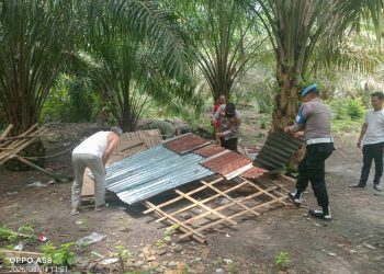 Gerebek Sarang Narkoba di Air Merah, Polisi Bongkar Gubuk Diduga Tempat Penyalahgunaan Sabu