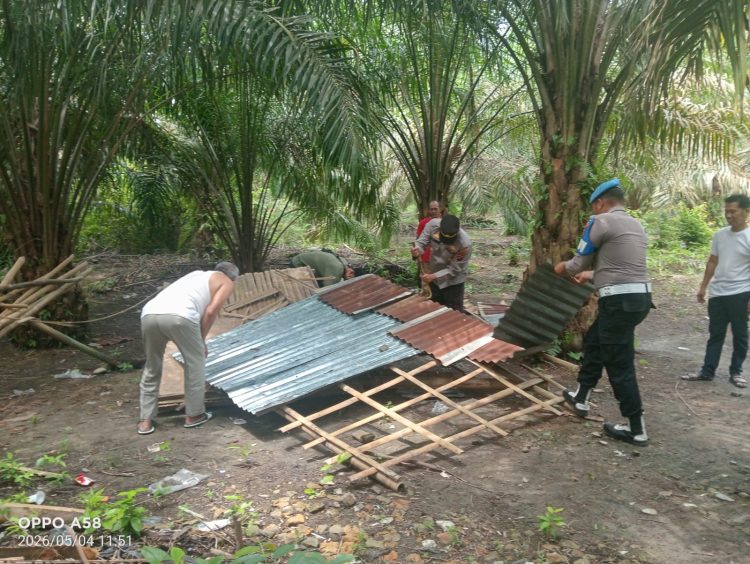 Petugas Polsek Kampung Rakyat, bongkar sebuah gubuk diduga menjadi tempat penyalahgunaan narkoba di Dusun Air Serdang, Desa Air Merah, Kecamatan Kampung Rakyat, Labusel pada Senin (4/5/2026)