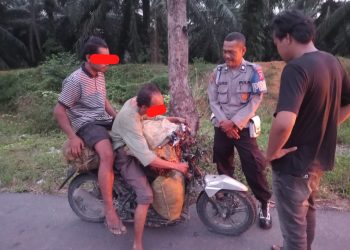 Aksi Senyap di Kebun Sawit Digagalkan, Polisi Amankan Dua Pria Saat Fajar Menyingsing di Labusel