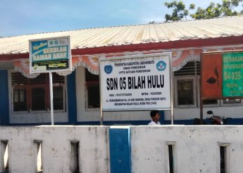 Printer Dicuri, Dana BOS Disulap Belanja Infokus: Pengelolaan Anggaran SDN 05 Bilah Hulu Disoal, Aktivitas: Itu Tak Dibenarkan