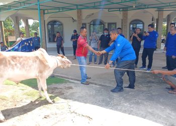 Hangatnya Idul Adha di Ujung Padang: PT Jaya Wira Manggala Hadirkan Kebahagiaan Lewat Hewan Qurban