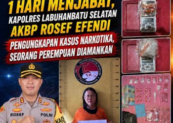 Hari Pertama Menjabat, Kapolres Labusel AKBP Rosef Efendi Hantam Peredaran Narkoba, Pengedar Perempuan Ditangkap dengan Sabu dan Ekstasi