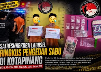 Saat Matahari Beranjak di Ufuk Barat Labusel, Satresnarkoba Bekuk Pengedar Sabu di Kotapinang, 6,86 Gram Sabu Disita 