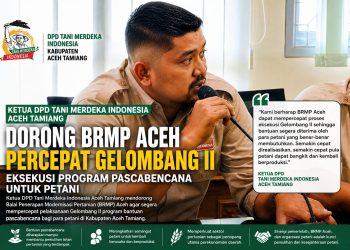 Petani Aceh Tamiang Menanti Uluran Tangan, Ketua DPD TMI Desak BRMP Aceh Percepat Bantuan Pascabencana Gelombang II