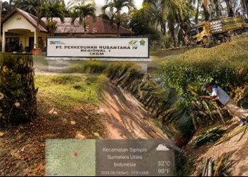 Jase M Saputra Diduga Tak Mampu Pimpin Kebun Gunung Monako, Akses Terbuka Brondolan Terbuang, Mafia Potensi Gerogoti Hasil PTPN IV PalmCo Agen Sawit Subur Disekitar Perkebunan