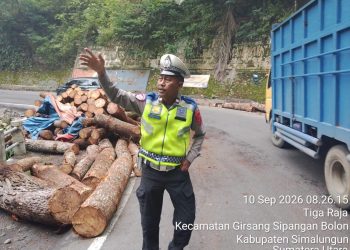 Tanggap Cepat Layanan 110, Sat Lantas Polres Simalungun Evakuasi Kayu Pinus yang Hambat Jalan di Penatapan Parapat