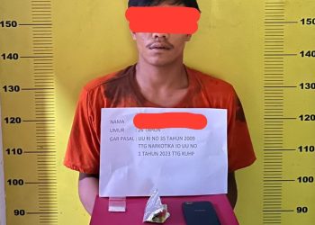 Peredaran Sabu di Balik Sunyinya Perkebunan Sei Rumbia Terbongkar, 2,06 Gram Diamankan Polisi