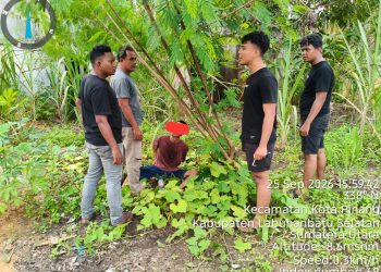 Gerak Cepat Polsek Torgamba Tindak Lanjuti Dumas Presisi, ZAS Diamankan Bersama Diduga Sabu 1,7 Gram