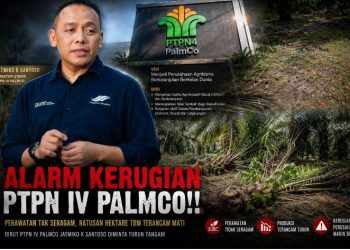 RIP!! “Kuburan” Sawit Produktif di Laras? Ratusan Tanaman Mati, Buah Tercecer, Sawit “Gondrong” Perlu Atensi Khusus Dirut PTPN IV PalmCo Jatmiko Santoso