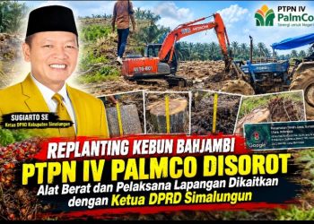 Teknis Pengerjaan TU Kebun Bahjambi PTPN IV PalmCo Disorot, Ketua DPRD Simalungun Terafiliasi?