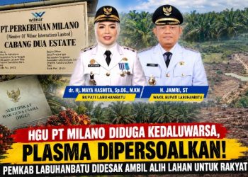 HGU PT Milano Diduga Kedaluwarsa, Plasma Dipersoalkan! Bupati Maya Hasmita dan Wabup Jamri Didesak Buktikan Keberpihakan kepada Rakyat
