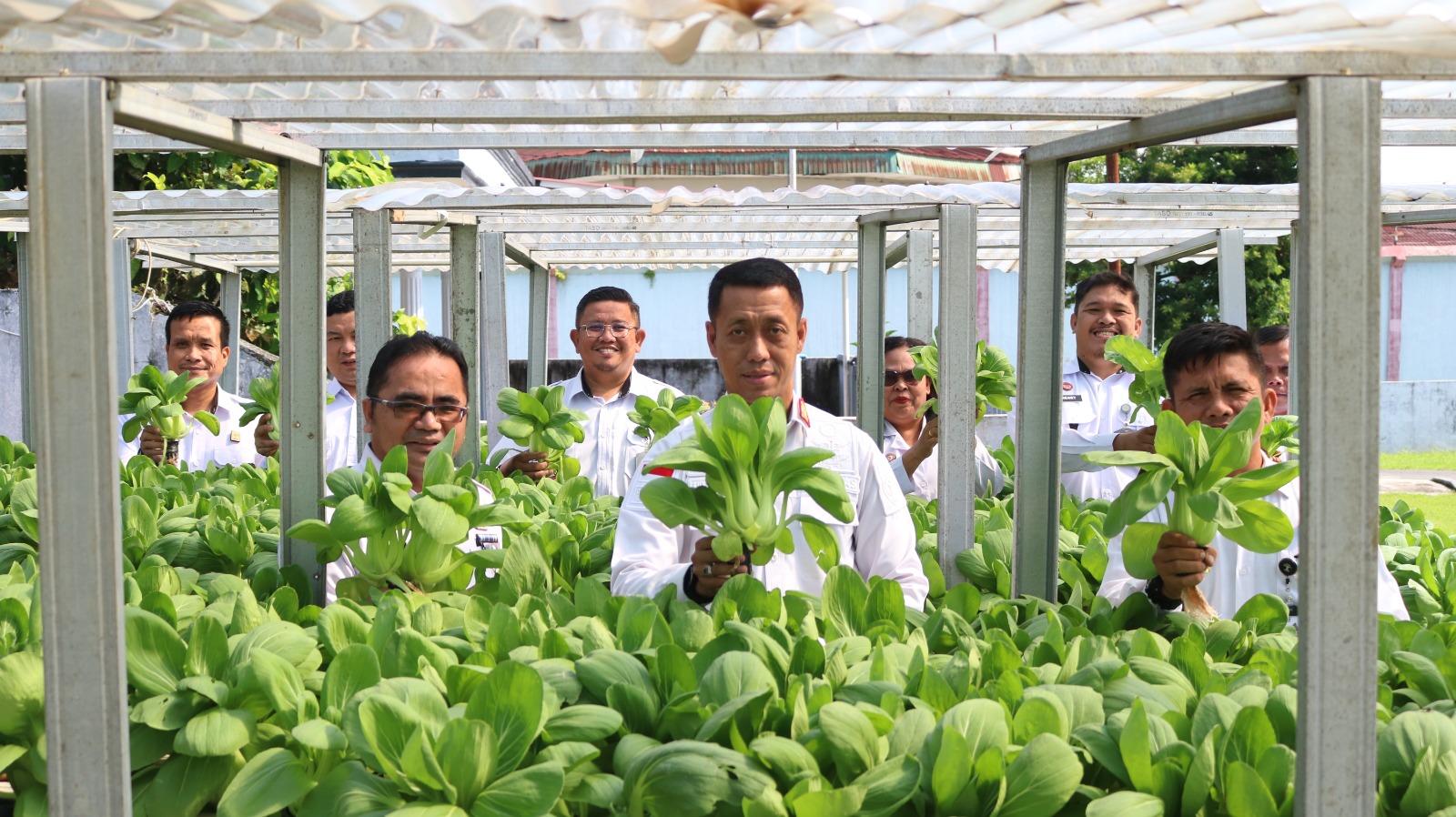Kalapas Kelas II Pematang Siantar dan jajarannya bersama warga binaan memanen sayur hidroponik