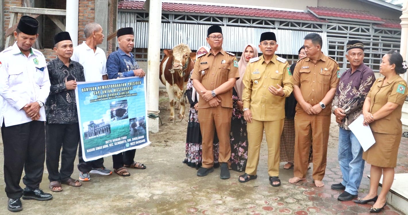 Serahkan Hewan Qurban Bantuan Presiden RI di Masjid Al-Aksho Gunung Malela, Bupati Simalungun Sampaikan Terimakasih