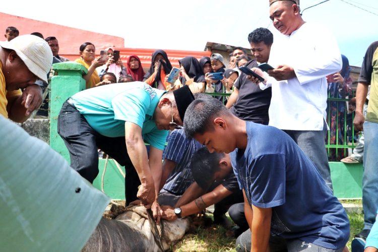 Hari Raya Idul Adha 1447 H di Kabupaten Simalungun: Suasana Syahdu, Bupati Sembelih Langsung Hewan Qurban