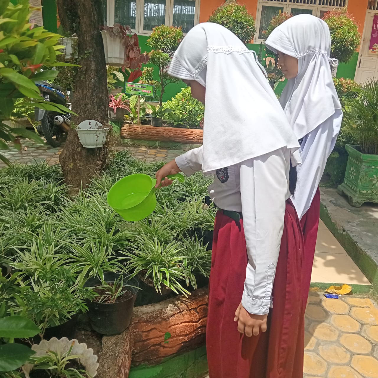Menjaga tumbuhan dengan menyiram menggunakan air bersih