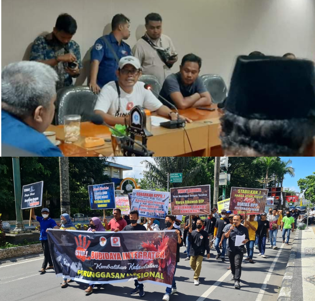 lsm-garuda-bersama-pinsar-unjuk-rasa-di-dprd-ntb-perjuangkan-nasib-peternak-ayam-lokal-yang-menjerit-dibantai-harga-peternak-ayam-raksasa-episode-1