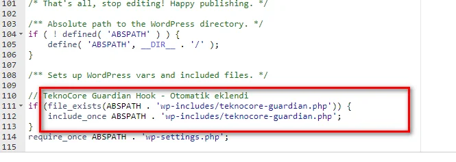 injeksi di wp config
