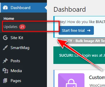 plugin dan tema tidak pernah update