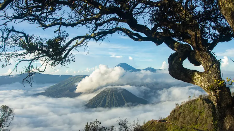 Healing ke Alam? Ini 7 Gunung di Jawa Timur yang Wajib Masuk Bucket List Liburan