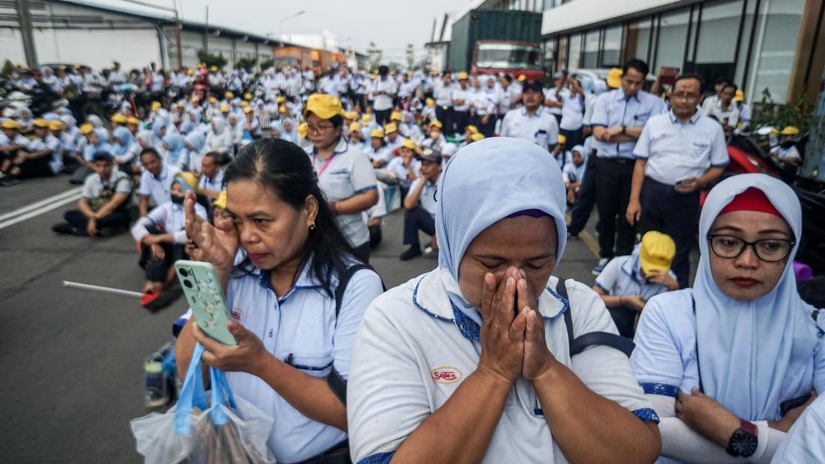 PHK Meningkat, Bagaimana Dampaknya Bagi Gen Z Pencari Kerja?