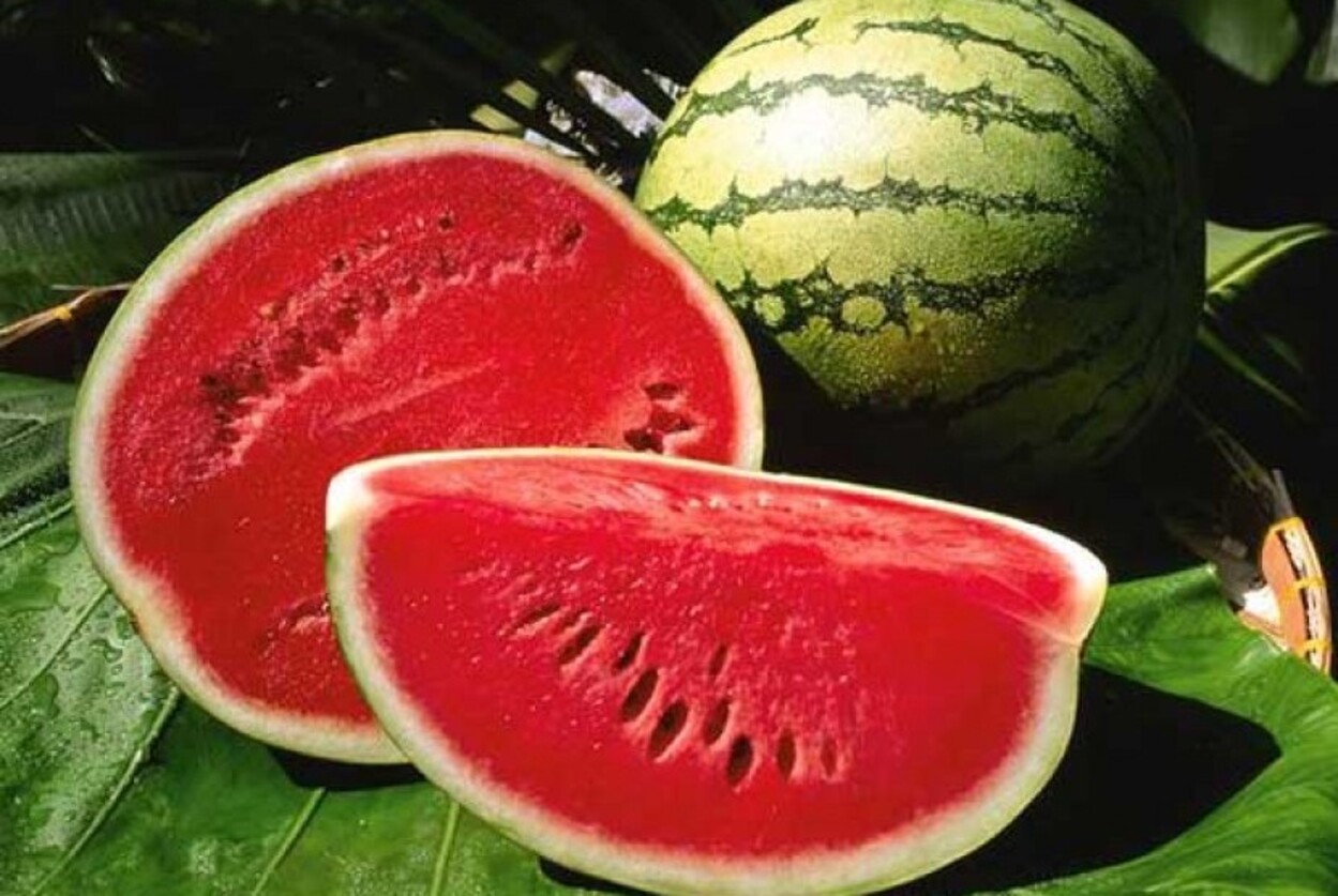 9 Buah yang Kaya Akan Air, Wajib Makan Tiap Hari