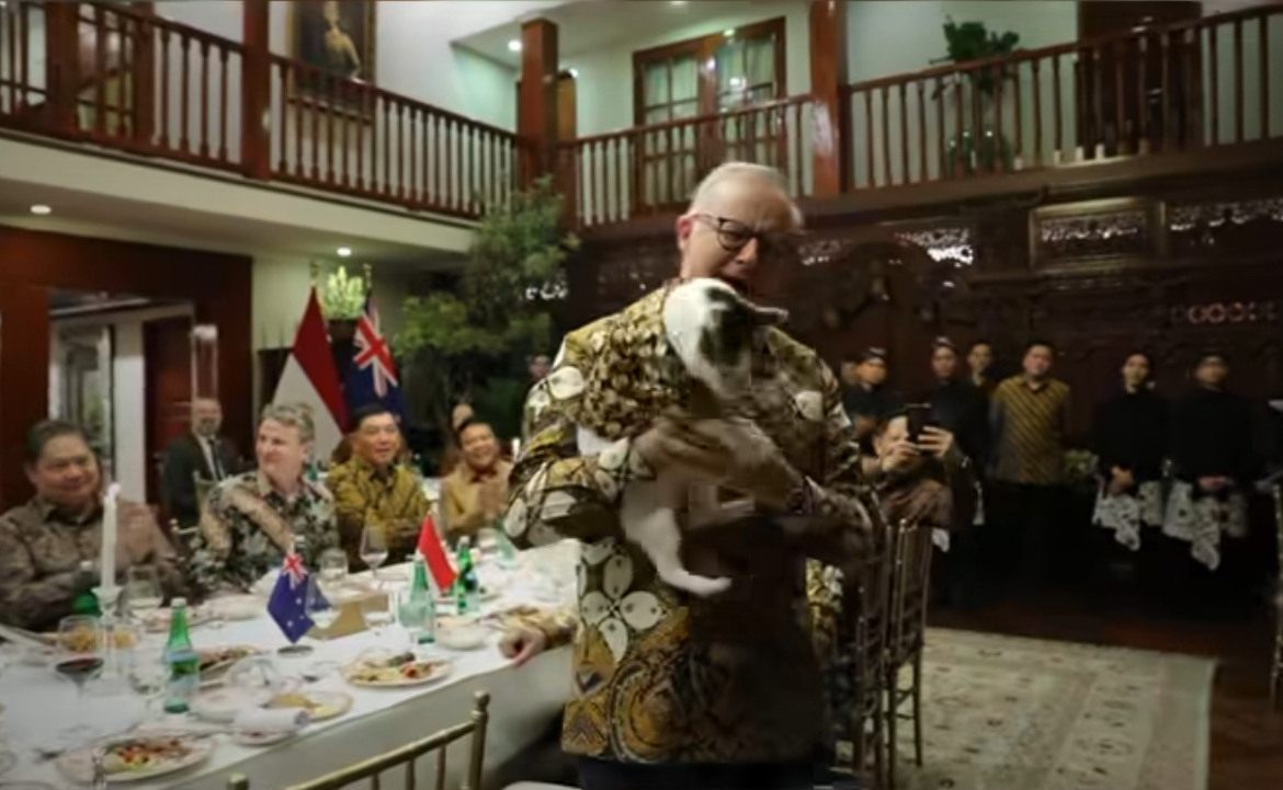 Bobby Kertanegara Curi Perhatian! PM Australia Kasih Hadiah Spesial ke Kucing Presiden