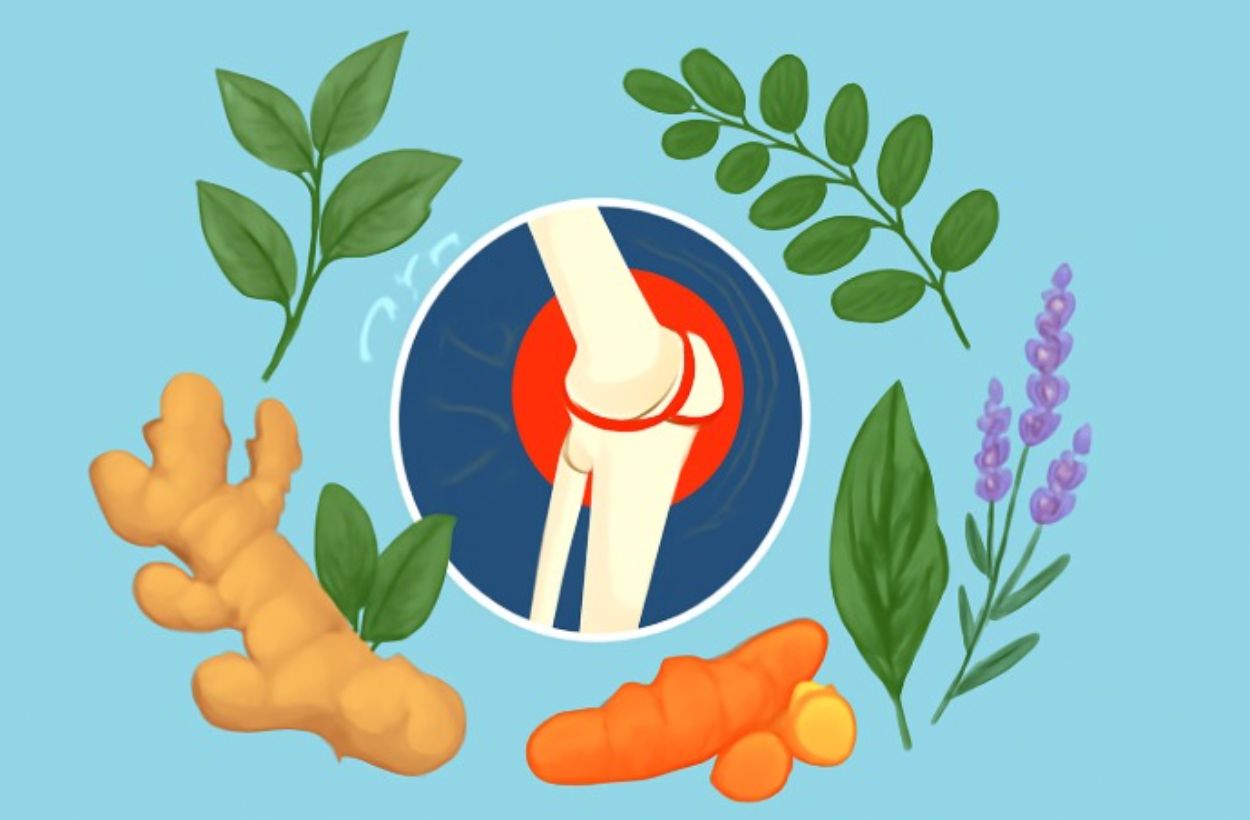 Ampuh! Ini 5 Tanaman Obat Buat Redain Nyeri Sendi, Udah Kebukti Lewat Riset
